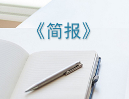 简报