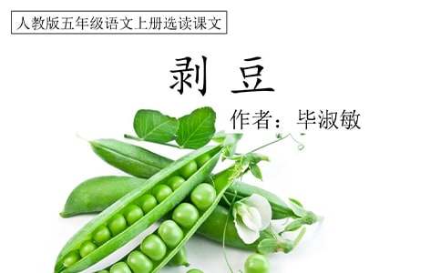 剥豆乐中班科学教案范文