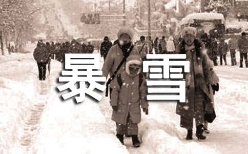 应对暴雪天气倡议书