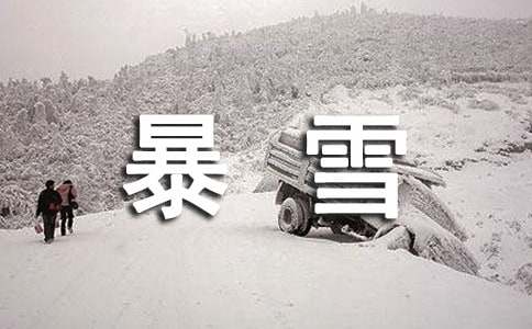 暴雪冰冻灾害处置方案范文（通用29篇）