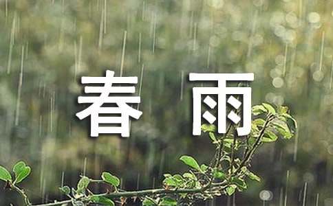 春雨的小学作文