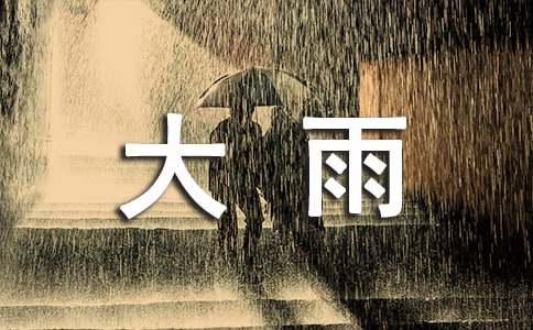 《大雨小雨》教案