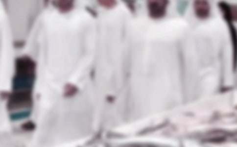 迪拜旅游观后感范文