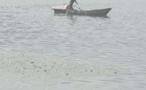 泛舟赏无锡随笔