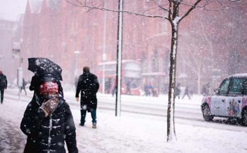 《风雪重围》教案