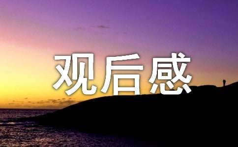 首席执行官观后感