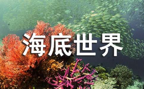关于南京海底世界导游词