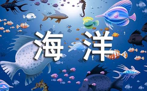 【精品】海洋作文300字汇编五篇