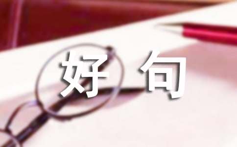 环境描写的好句子100字