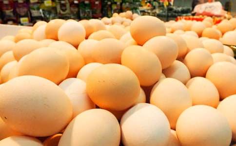 保护鸡蛋作文范例(15篇)