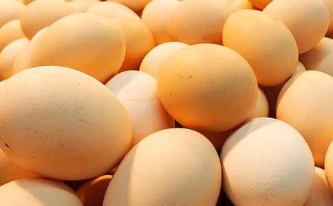 第一次煎鸡蛋作文(15篇)