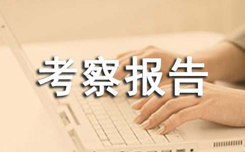 瑞典、芬兰企业债务重组情况的考察报告