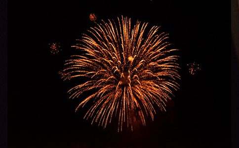 绚丽的礼花小学作文