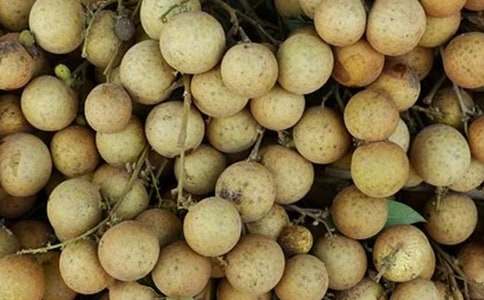 关于龙眼的谜语