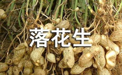 《落花生》教案锦集8篇