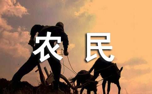 中国农民丰收节主题宣传活动简报