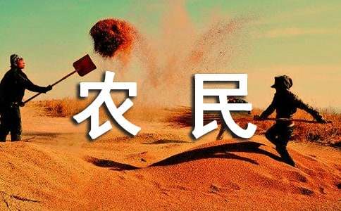 中国农民工调研报告