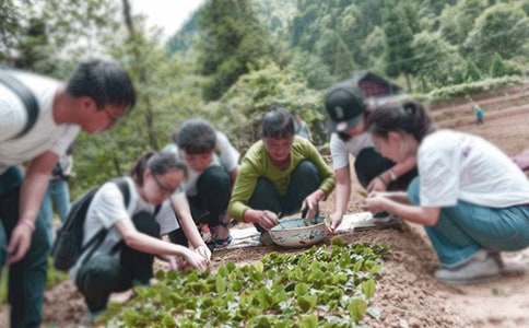 大学生三下乡社会实践报告总结