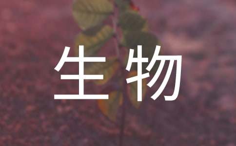 初中生物研修观课报告14篇【推荐】