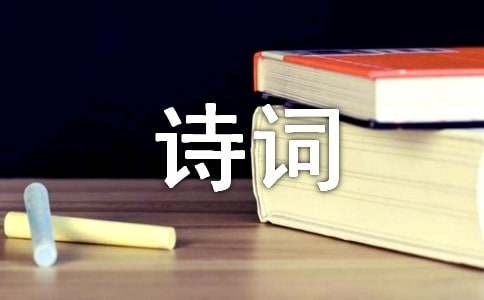 关于诗词的作文800字（通用50篇）