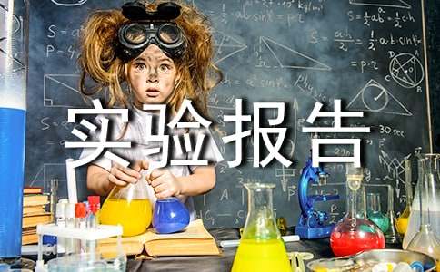 种子实验报告