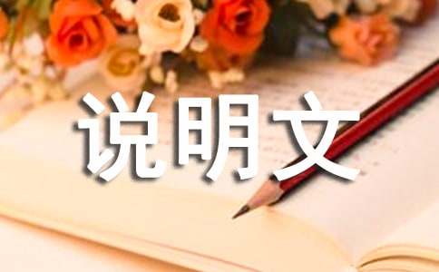 有关说明文作文300字合集5篇