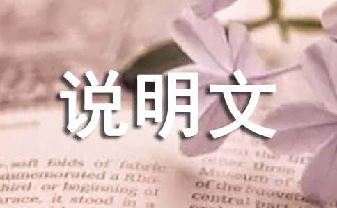 小学说明文：我爱我的祖国