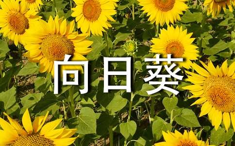 【必备】向日葵小学作文三篇