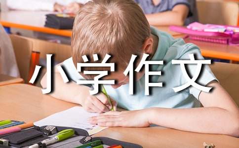 有关美丽的小学作文300字四篇