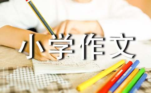 实用的小学作文300字【锦集4篇】