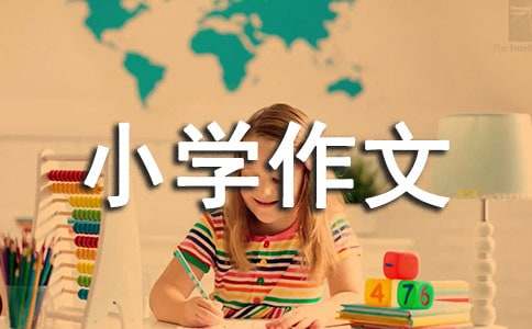 有关美丽小学作文600字6篇