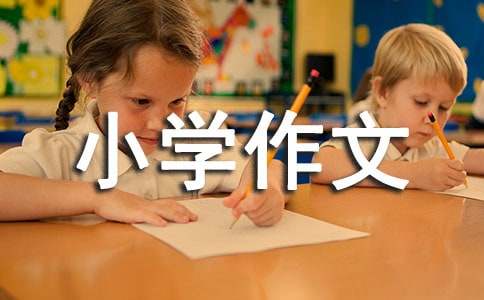 实用的难忘小学作文汇总7篇