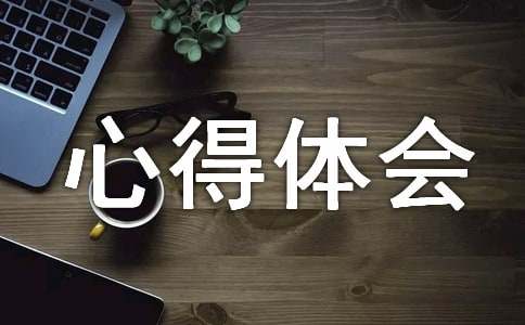 社会实践心得体会【优秀】