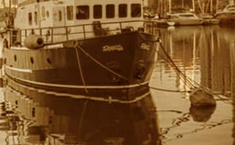 2015充气游艇项目可行性报告(完整版)