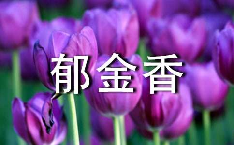 郁金香花语的意思