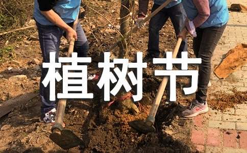 小学2022植树节活动方案