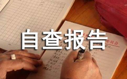 中学后勤副校长作风建设自查报告（精选6篇）