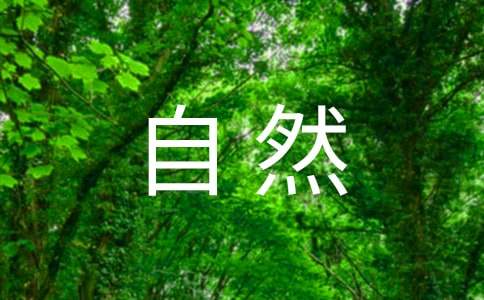 【热门】保护大自然作文300字三篇