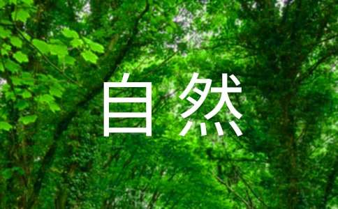 大自然作文300字4篇[优秀]