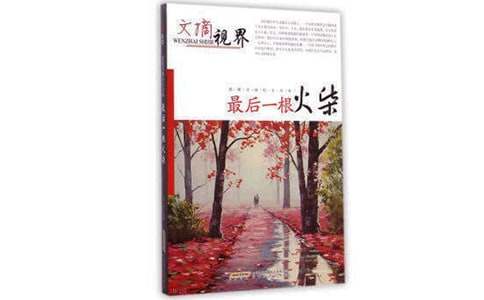 最后一根火柴读后感优秀作文