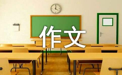 小学的作文300字