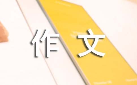 小学的作文300字