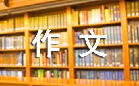 传统文化作文300字