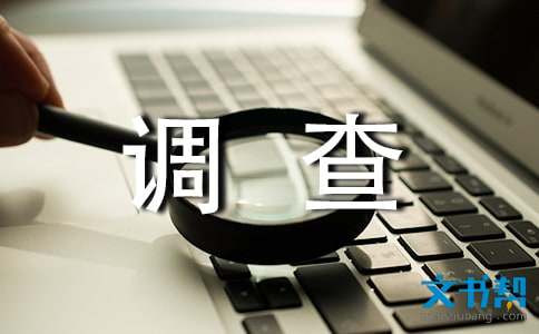 调查报告格式及样稿