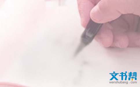 乡镇妇联工作总结