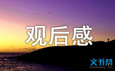 党员观看警钟观后感