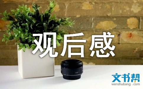 千年包公观后感卫生监督