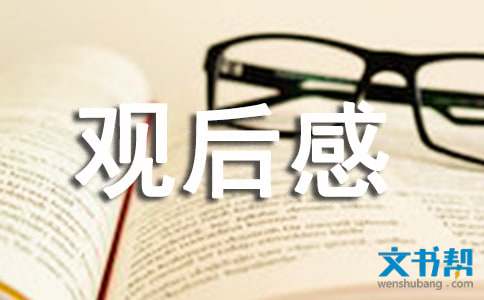 乡镇千年包公观后感