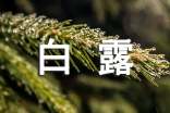 白露节气作文