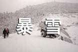 暴雪冰冻灾害处置方案范文(通用29篇)
